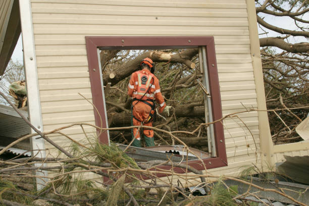 How Our Tree Care Process Works  in  Stratford, CA